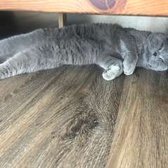 Фото отзыва 10447049