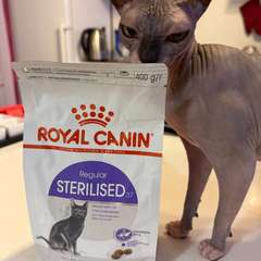 Фото отзыва 10520112