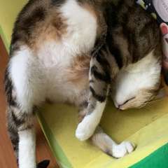 Фото отзыва 9884012