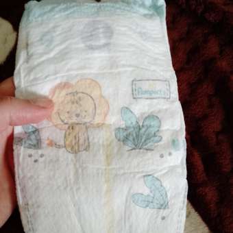 Подгузники Pampers Premium Care 3 (6-10 кг) 18 шт.: отзыв пользователя ДетМир