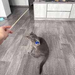 Фото отзыва 8769078