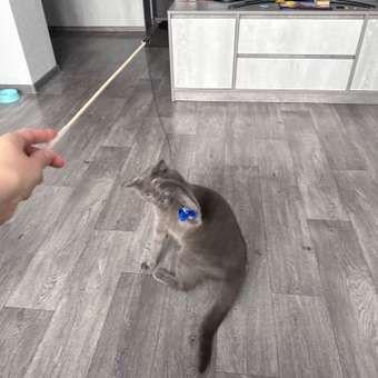 Дразнилка для кошек Barbaks Червяк на резинке: отзыв пользователя. Зоомагазин Зоозавр