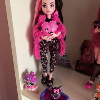 Кукла модельная Monster High Draculaura: отзыв пользователя ДетМир