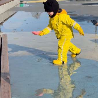 Песочный набор ZEBRA Грузовичок: отзыв пользователя Детский Мир