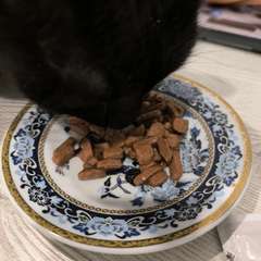 Фото отзыва 10811635