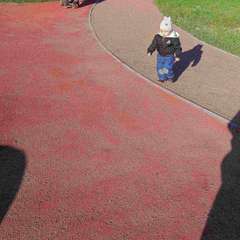 Фото отзыва 10462145