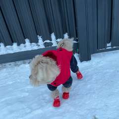 Фото отзыва 10908081