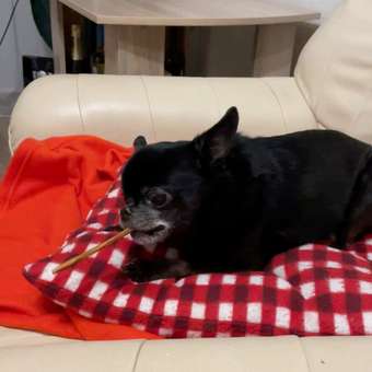 Лакомство для собак Мнямс кишки бараньи 70г: отзыв пользователя. Зоомагазин Зоозавр