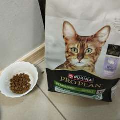 Фото отзыва 11028370