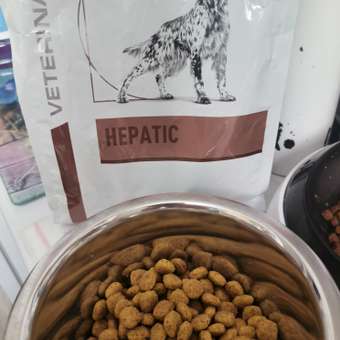 Корм для собак ROYAL CANIN Hepatic HF16 при заболеваниях печени 1.5кг: отзыв пользователя. Зоомагазин Зоозавр