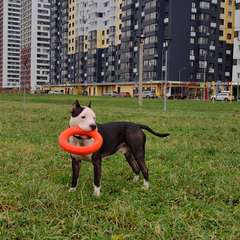 Фото отзыва 10587845