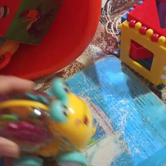 Игрушка 1TOY каталка Улитка: отзыв пользователя Детский Мир