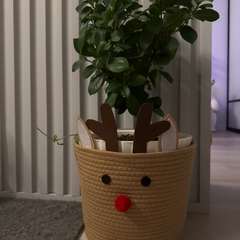 Фото отзыва 10758589