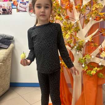 Комплект термобелья Jomoto: отзыв пользователя Детский Мир