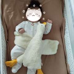 Фото отзыва 11268708