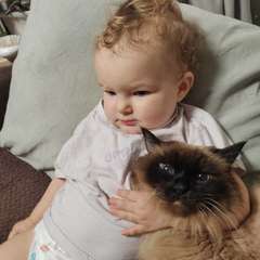 Фото отзыва 10740298