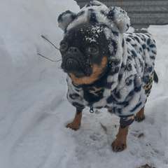 Фото отзыва 11049677