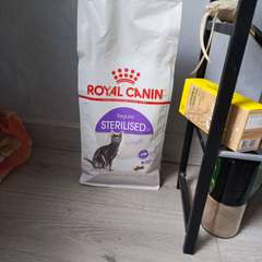 Фото отзыва 10529098