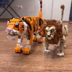 Фото отзыва 11164375