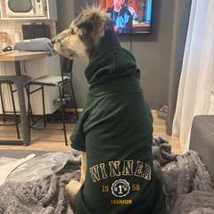 Фото отзыва 10812668