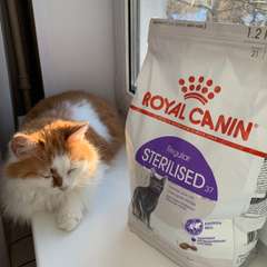 Фото отзыва 10757152