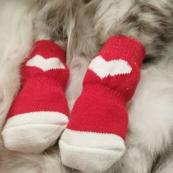 Носочки для собак Зоозавр 4 шт: отзыв пользователя. Зоомагазин Зоозавр