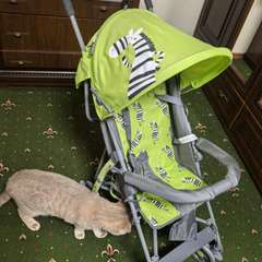 Фото отзыва 10566415