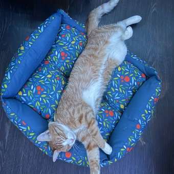 Лежанка GAMMA Мандарин прямоугольная М 52-45-17см 31932173: отзыв пользователя. Зоомагазин Зоозавр