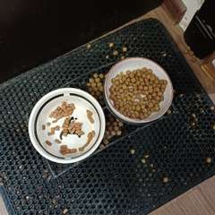 Фото отзыва 10539743