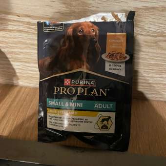 Корм для собак PRO PLAN мелких и миниатюрных пород с комплексом Optibalance с высоким содержанием курицы 3кг: отзыв пользователя. Зоомагазин Зоозавр