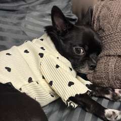 Фото отзыва 10733737