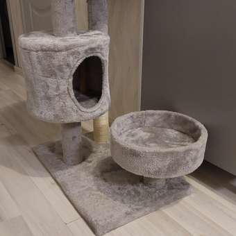 Дом-когтеточка для кошек Не один дома Big House 860019-06GR4: отзыв пользователя. Зоомагазин Зоозавр