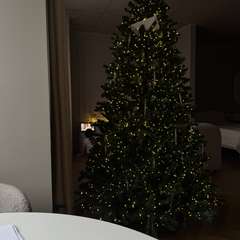 Фото отзыва 10788181