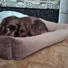 Фото отзыва 10741918