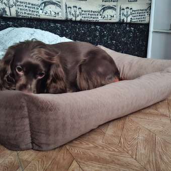 Лежанка Barbaks XL 75*60*19см прямоугольная однотонная с бортиком и съемной подушкой коричневая: отзыв пользователя. Зоомагазин Зоозавр