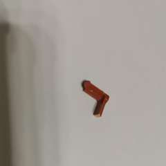 Фото отзыва 10832683