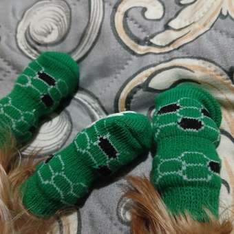 Носочки для собак Зоозавр 4 шт: отзыв пользователя. Зоомагазин Зоозавр