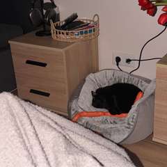 Фото отзыва 11149066