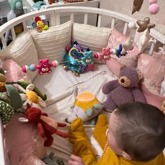 Игрушка BabyGo Ежик: отзыв пользователя ДетМир