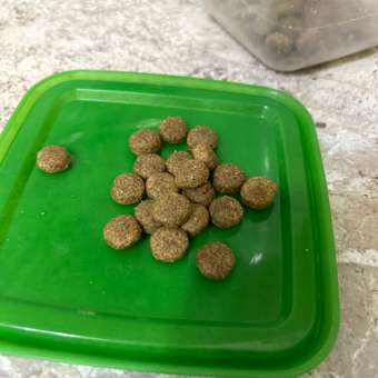 Корм для собак Meglium Breeders Adult Gold 20кг: отзыв пользователя. Зоомагазин Зоозавр
