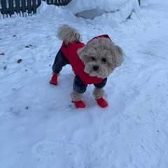 Фото отзыва 10937481