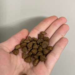 Фото отзыва 10973308