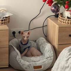 Фото отзыва 11149066