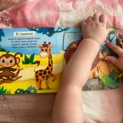 Фото отзыва 11165650