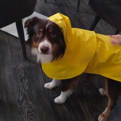 Фото отзыва 11032940