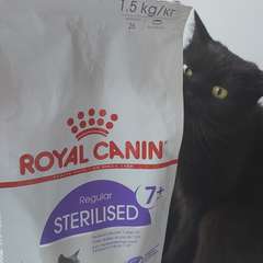 Фото отзыва 10701443