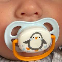 Фото отзыва 10630577