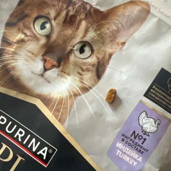 Корм сухой для кошек PRO PLAN LONGEVIS 400г с индейкой для стерилизованных 7+ лет: отзыв пользователя. Зоомагазин Зоозавр