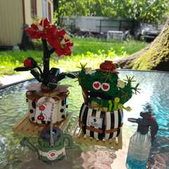 Фото отзыва 10023061