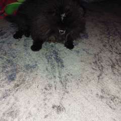 Фото отзыва 10818347